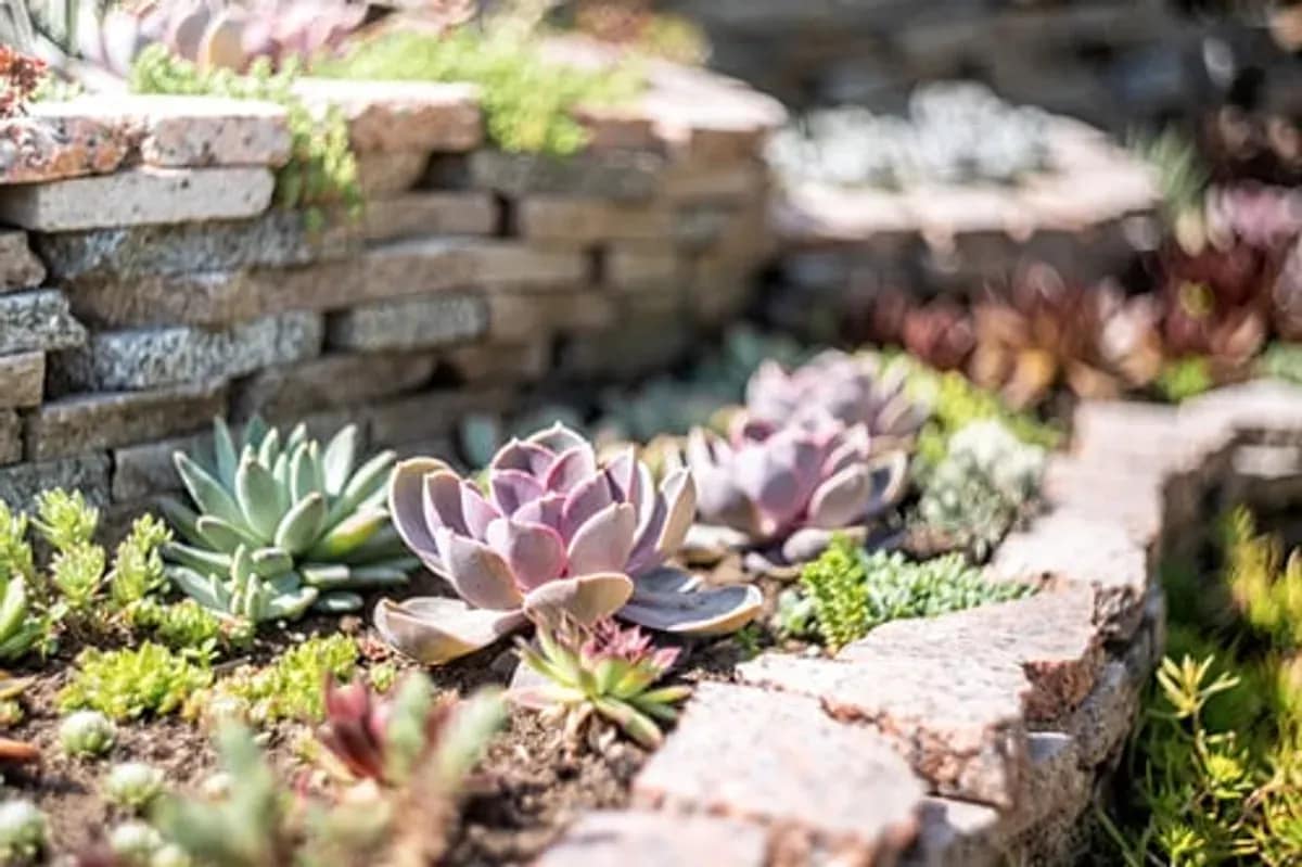 Stone retaining wall with succulent planting along a graded slope